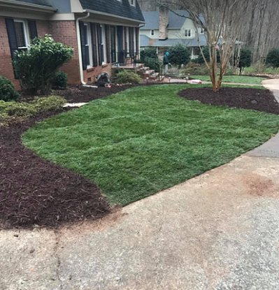 artificial-turf-after