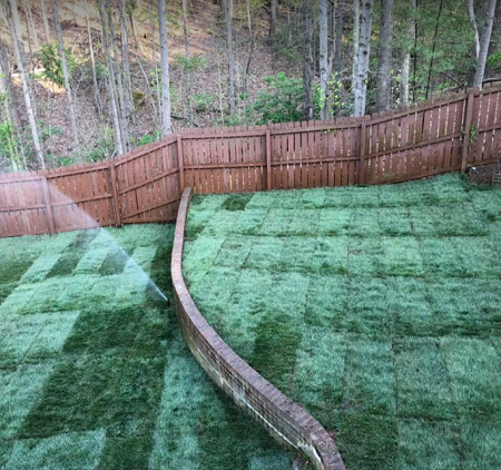 bermuda-sod-installation-after