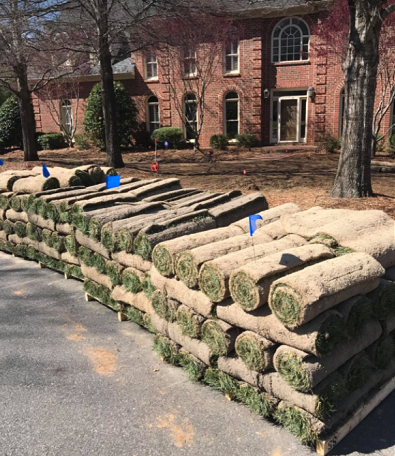 fescue-sod-installation-before